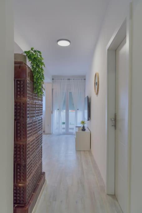 Apartman Scala Zadar Dış mekan fotoğraf